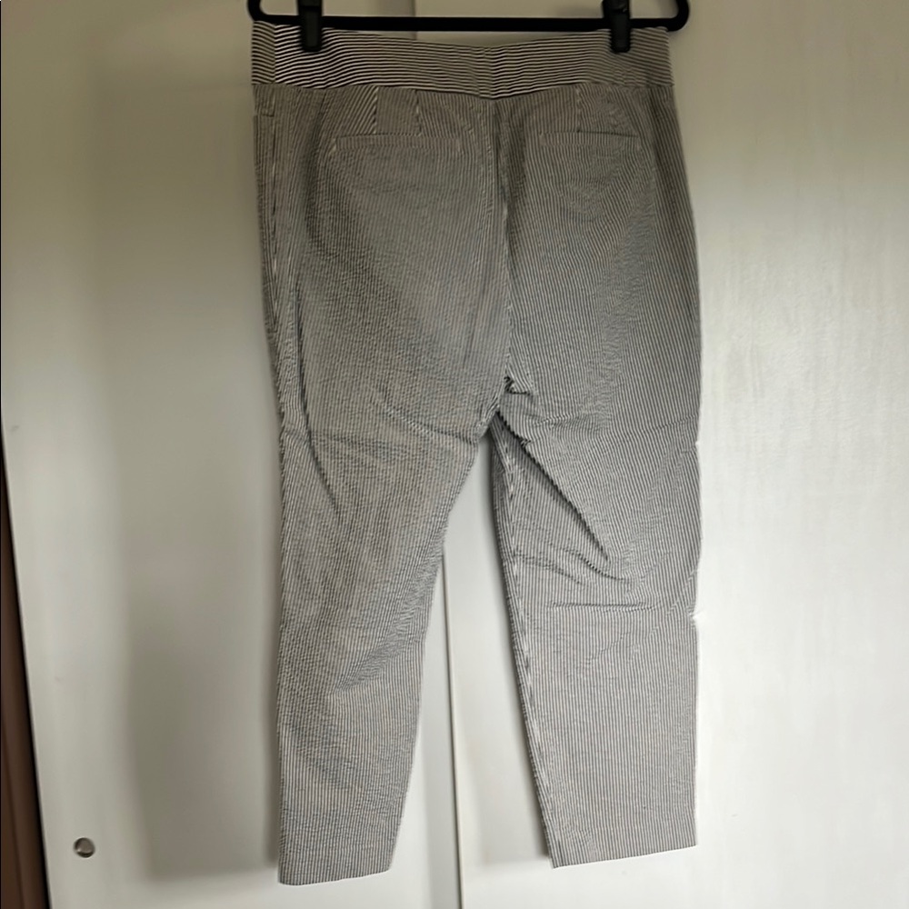 LOFT | 10 | EUC | Julie | Cropped pants - Picture 4 of 5